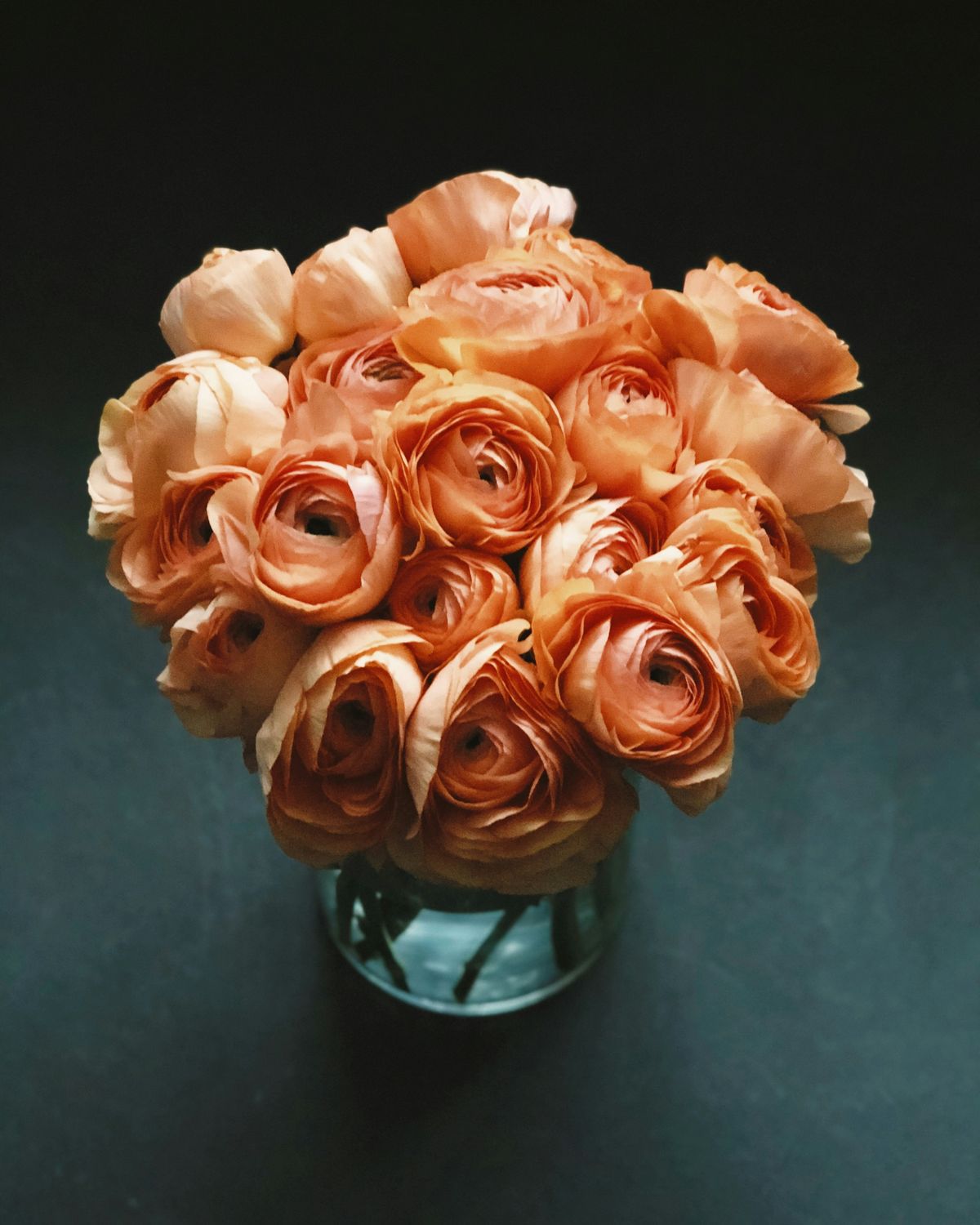 Copper ranunculus in a glass vase against a dark background