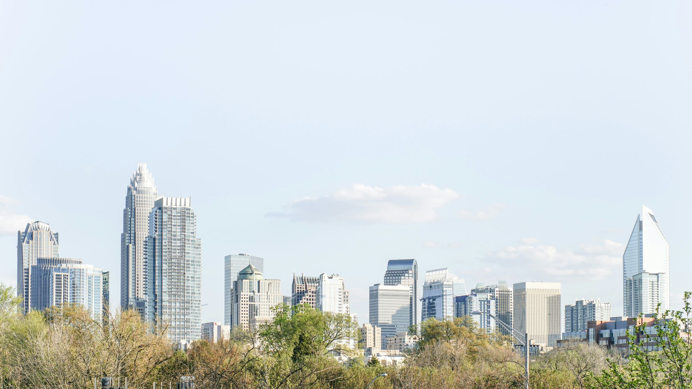 The Charlotte skyline above a line of spring treetops